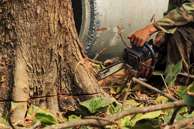 Midsection of man using chainsaw on tree trunk