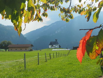 Scenic view of field against mountains