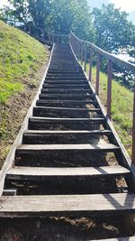 Staircase leading towards plants