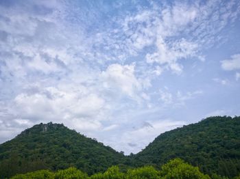 Low angle view of trees against sky