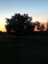 Silhouette trees on field against sky at sunset