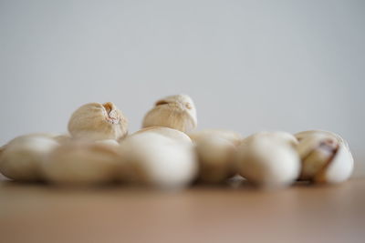 Close-up of candies against white background