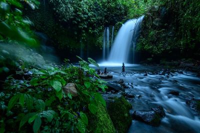 Scenic view of waterfall in forest