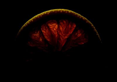 Close-up of red rose flower against black background