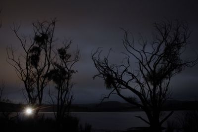 Silhouette bare tree against sky at night