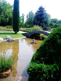 Scenic view of lake in park