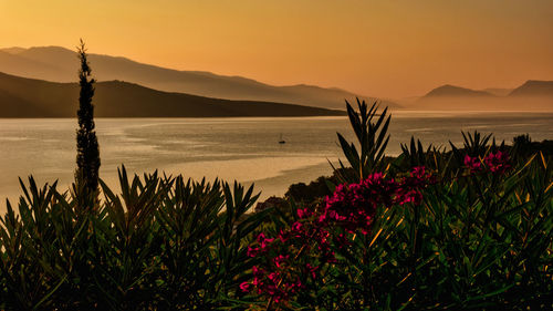 Scenic view of sea against sky during sunset