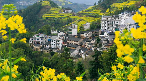 High angle view of community on mountain