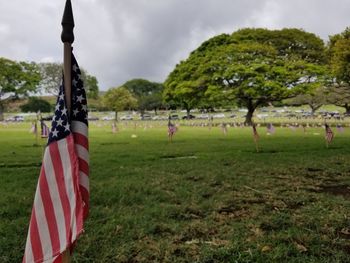 Flag on field at cemetery against sky