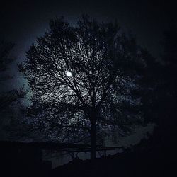 Low angle view of bare trees against sky