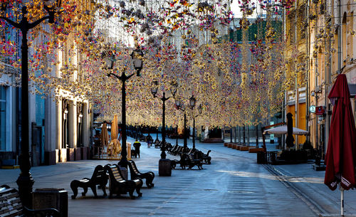 Empty benches in row against trees and buildings