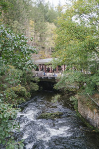 Bridge over canal amidst trees in forest