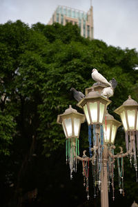Low angle view of illuminated statue against building