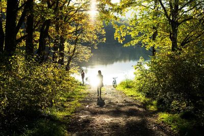 Rear view of man walking amidst trees