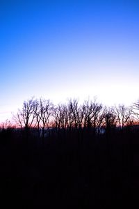 Silhouette trees against sky during sunset
