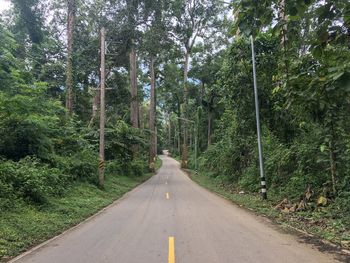 Empty road amidst trees in forest