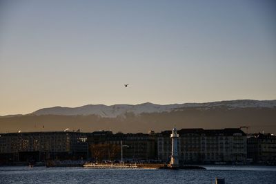 Birds flying over sea against clear sky