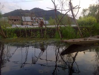 Reflection of trees in calm lake