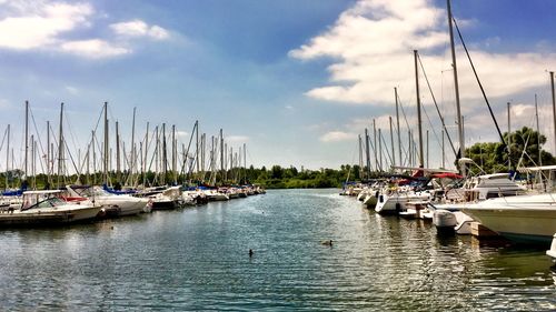 Boats moored at harbor