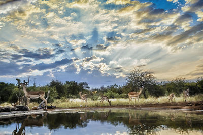 Scenic view of lake against sky during sunset