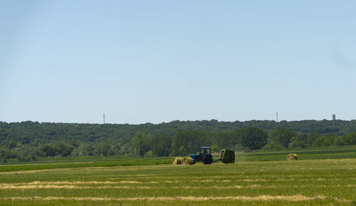 pasture