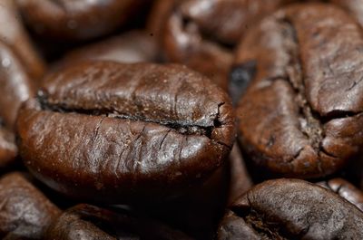 Close-up of coffee beans