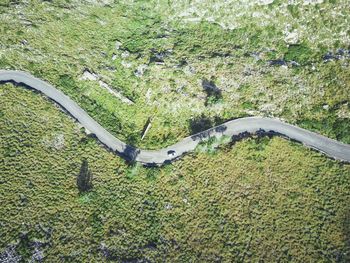 High angle view of road amidst trees in forest