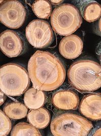 Full frame shot of logs