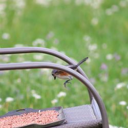 Close-up of metal outdoors