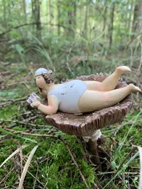 Close-up of mushroom growing on field