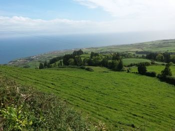 Scenic view of green landscape by sea against sky