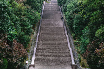 High angle view of footpath amidst trees in forest