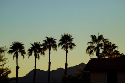 Silhouette palm trees against sky during sunset