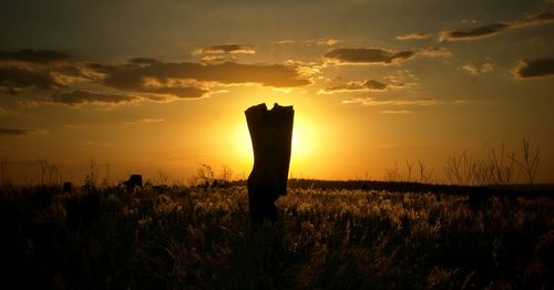 Scenic view of field against sky at sunset