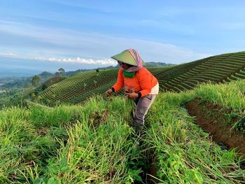 Person working on agricultural field against sky