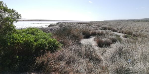 Scenic view of land against clear sky