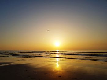 Scenic view of beach during sunset