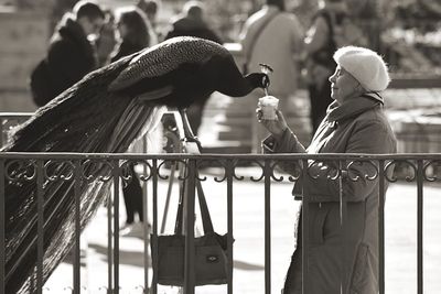 Side view of senior woman feeding peacock on street