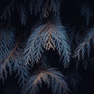 Full frame shot of tree with blue sky