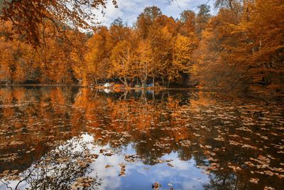 Reflection of trees in lake during autumn