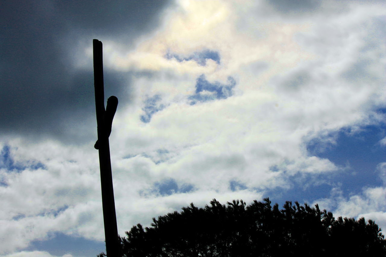 LOW ANGLE VIEW OF SILHOUETTE STREET LIGHTS AGAINST SKY