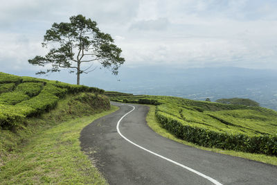 Scenic view of road by trees on field against sky