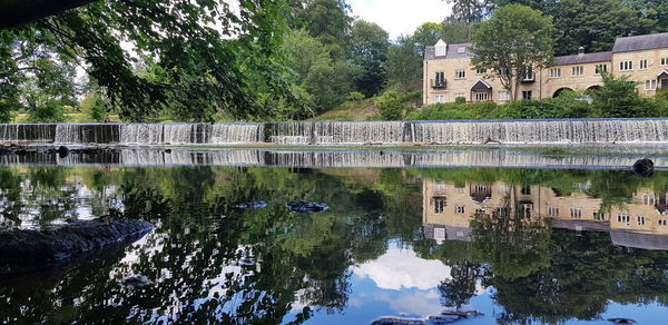 Reflection of trees and buildings in lake