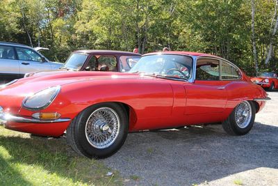 Red vintage car on tree