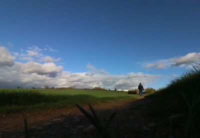 Rear view full length of man walking on grassy field against blue sky