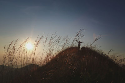 Silhouette plants on field against sky during sunset