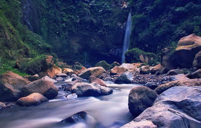 Scenic view of waterfall in forest