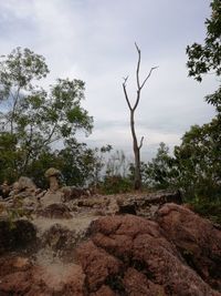 Rocks on land against sky