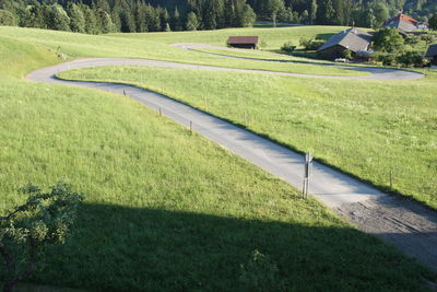 Scenic view of grassy field