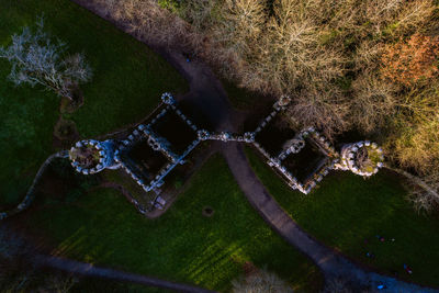 High angle view of tree by lake